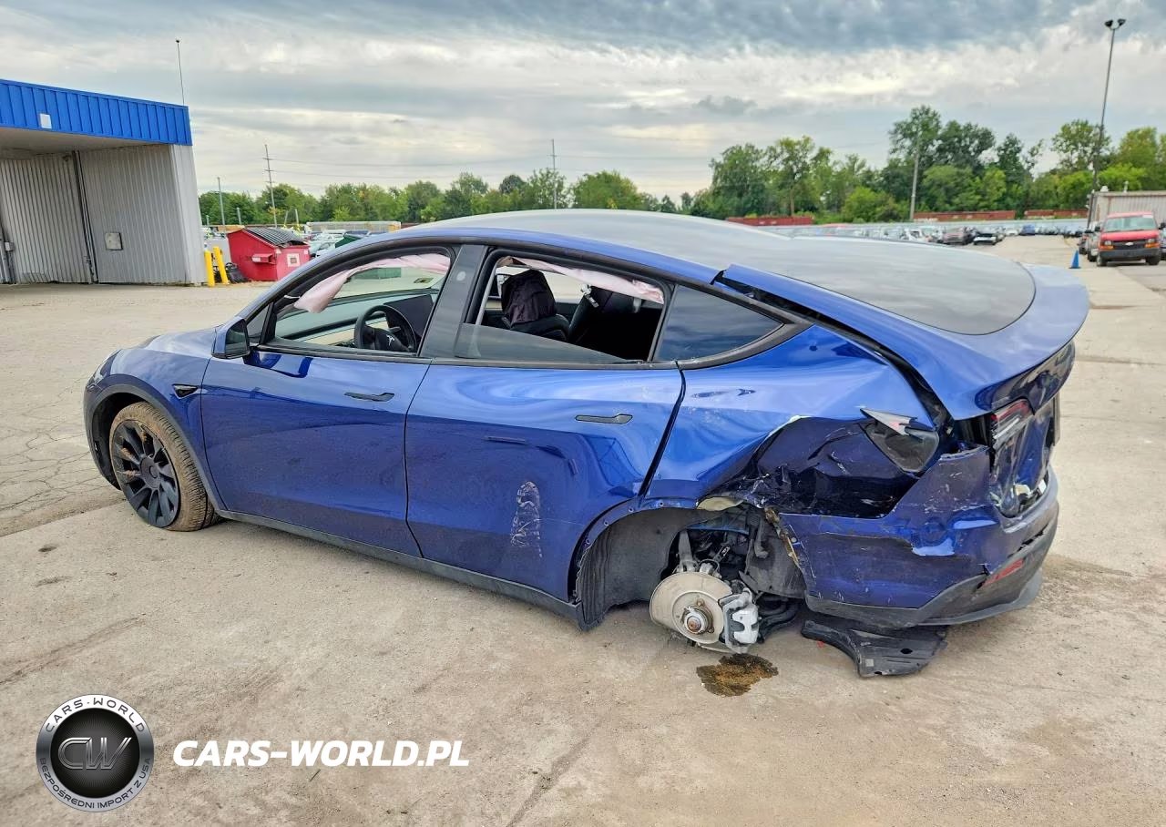 2024 Tesla Model Y VIN:7SAYGDEE6RA281827 - 2