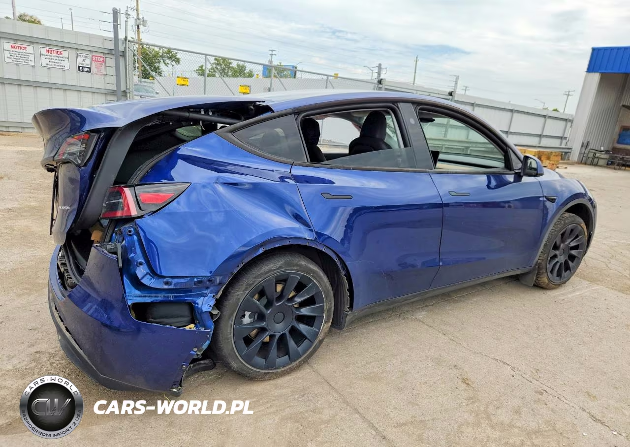2024 Tesla Model Y VIN:7SAYGDEE6RA281827 - 3
