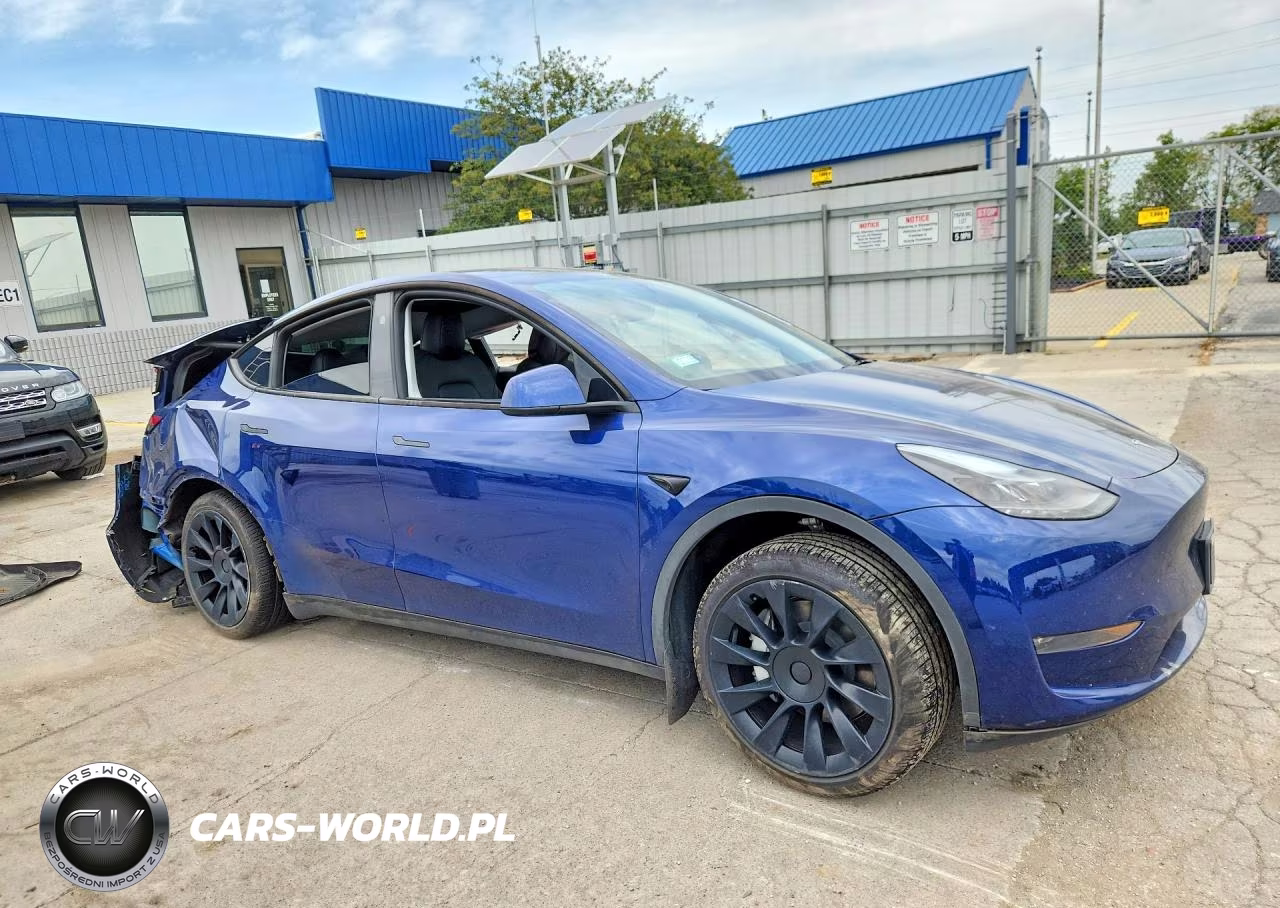 2024 Tesla Model Y VIN:7SAYGDEE6RA281827 - 4