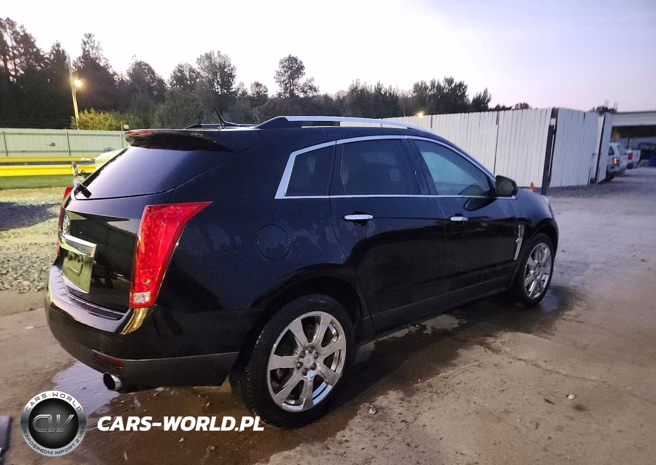 2010 Cadillac Srx Performance Collection VIN:3GYFNBEY3AS620996 - 3