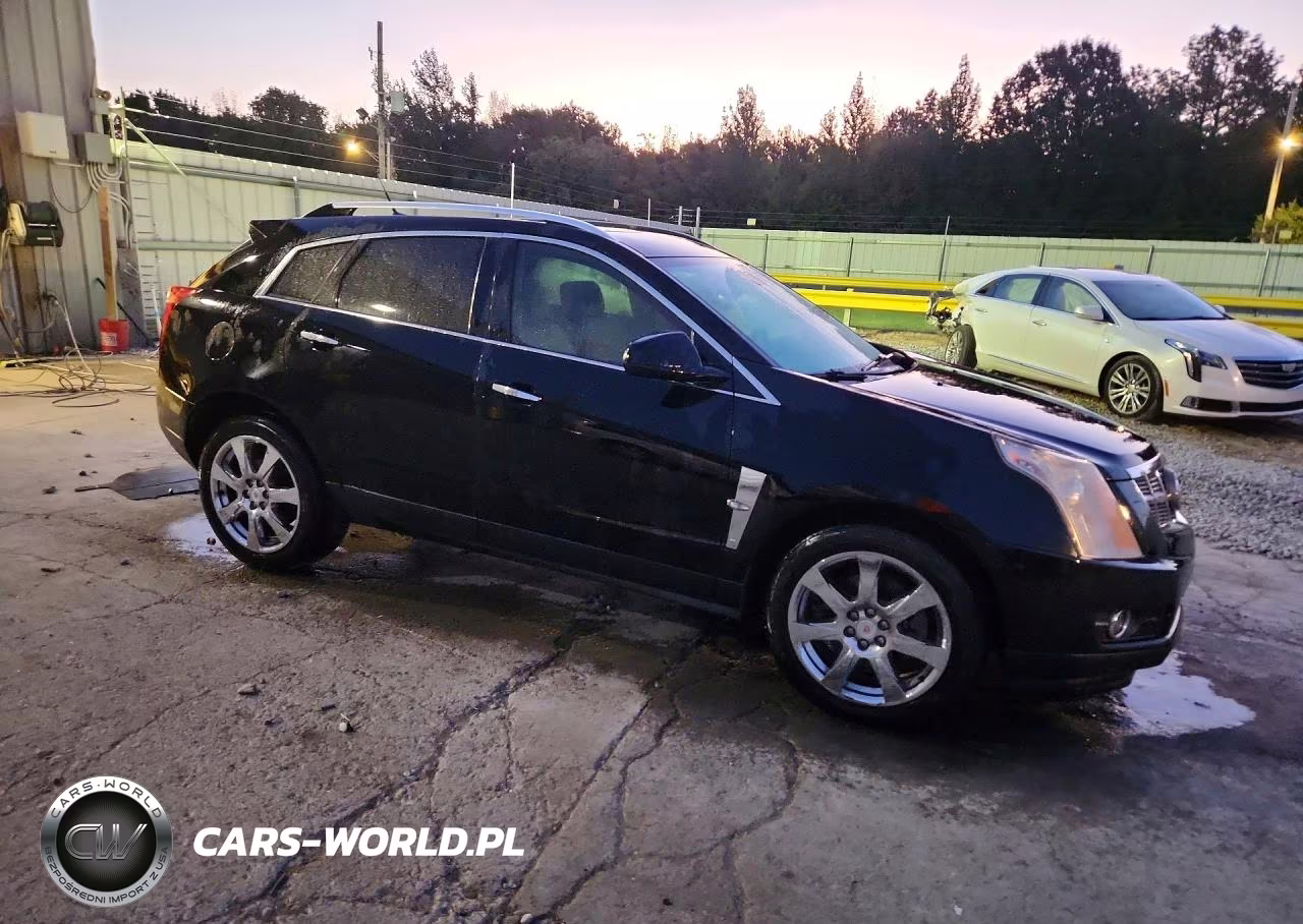 2010 Cadillac Srx Performance Collection VIN:3GYFNBEY3AS620996 - 4