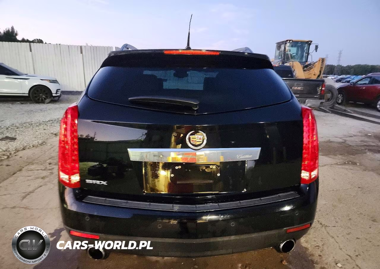 2010 Cadillac Srx Performance Collection VIN:3GYFNBEY3AS620996 - 6
