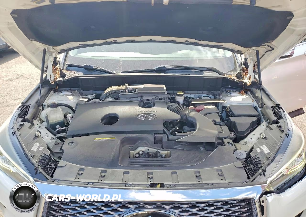 2019 Infiniti Qx50 Essential VIN:3PCAJ5M1XKF144841 - 12