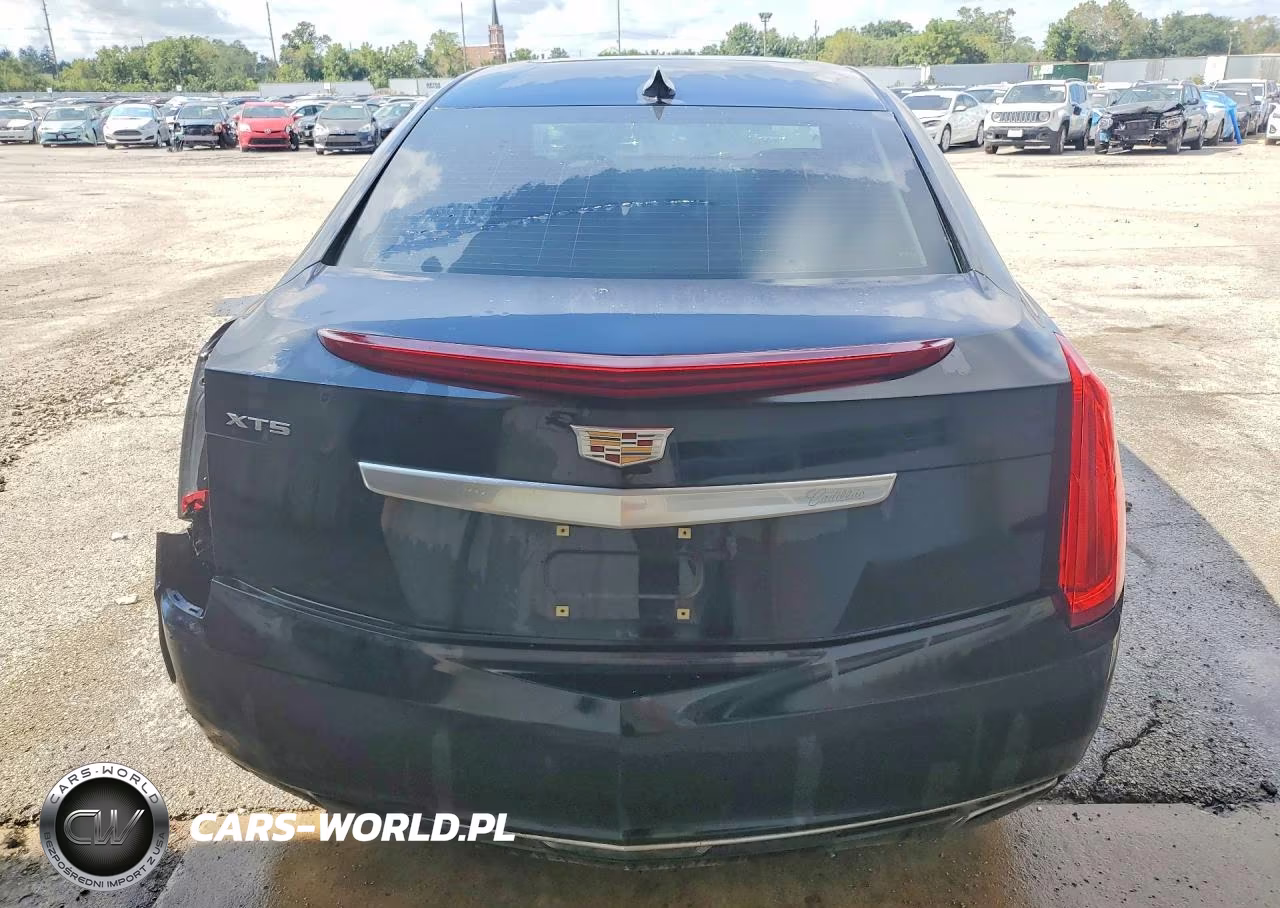2016 Cadillac Xts Luxury Collection VIN:2G61M5S37G9133936 - 6