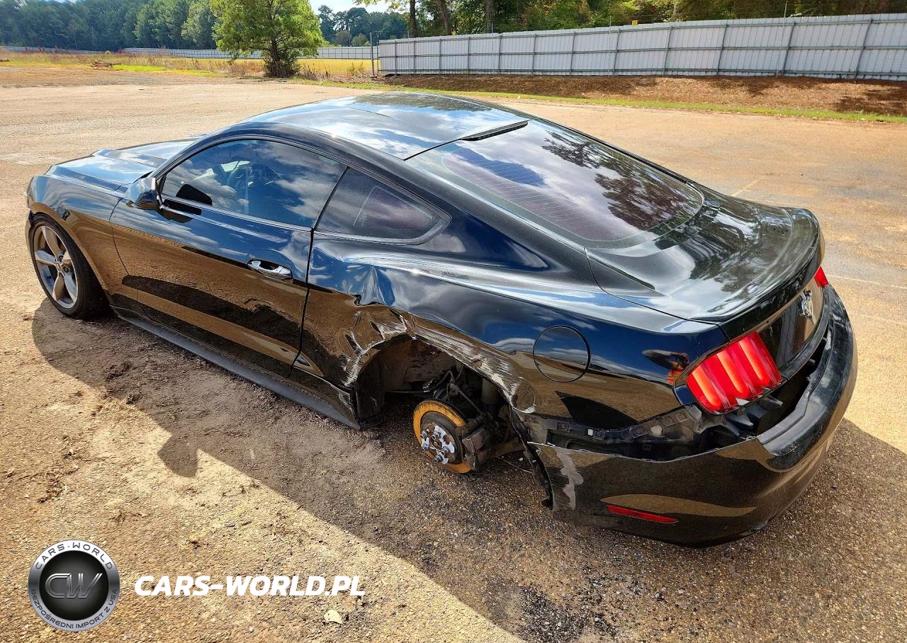 2016 Ford Mustang VIN:1FA6P8AM5G5247507 - 2