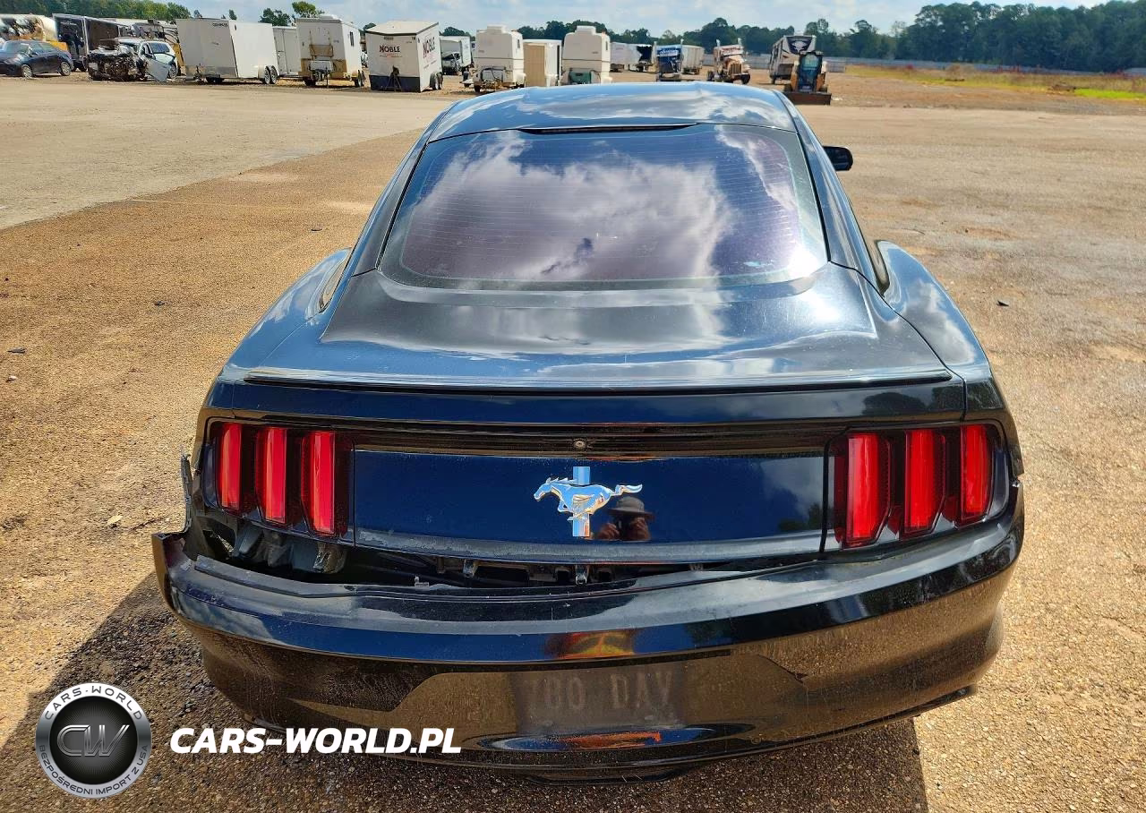 2016 Ford Mustang VIN:1FA6P8AM5G5247507 - 6