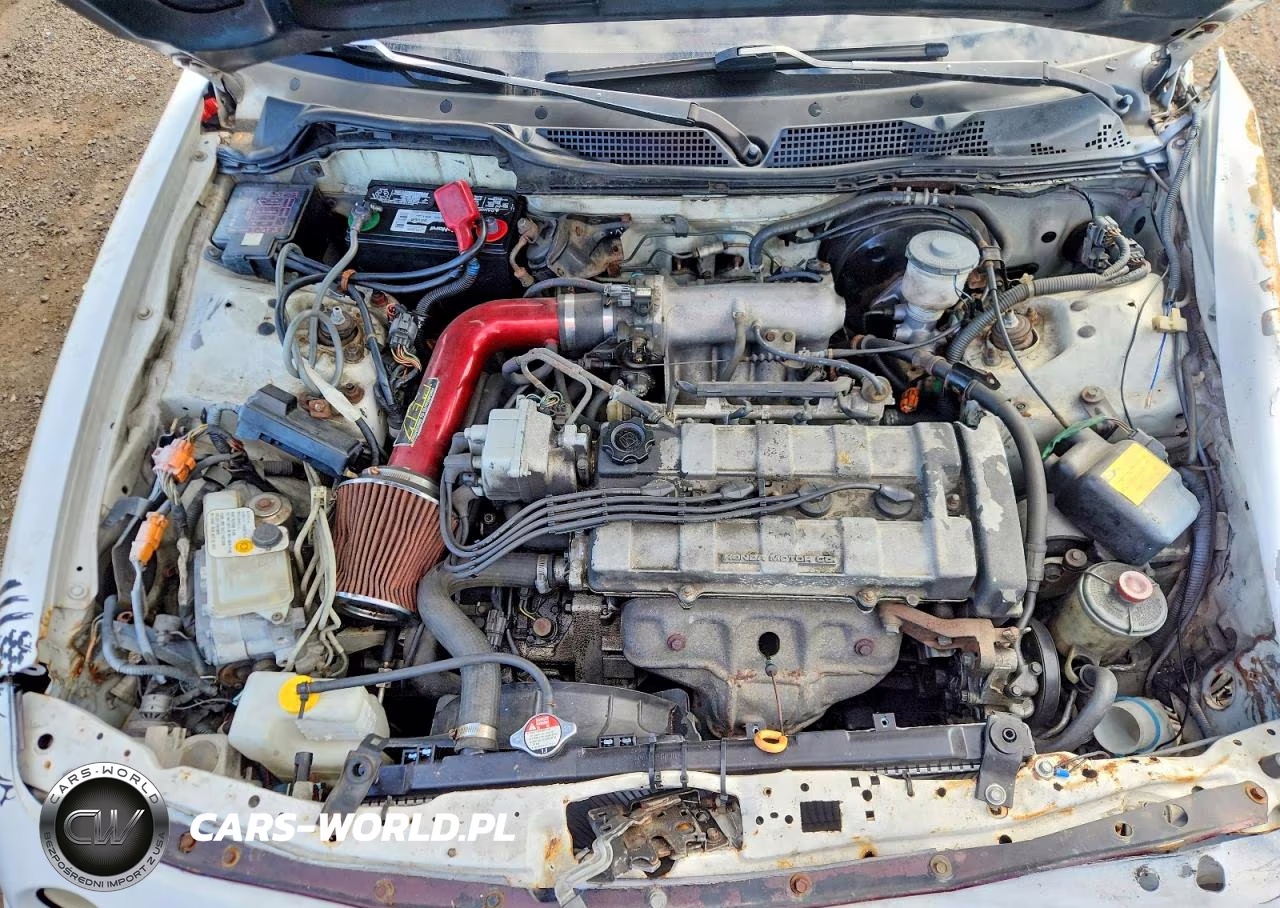 1994 Acura Integra Ls VIN:JH4DB7655RS016492 - 11
