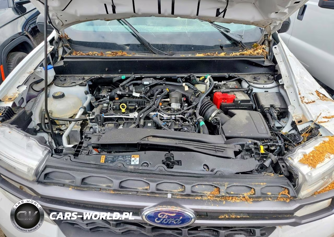 2024 Ford Maverick Xlt VIN:3FTTW8J95RRA96485 - 11