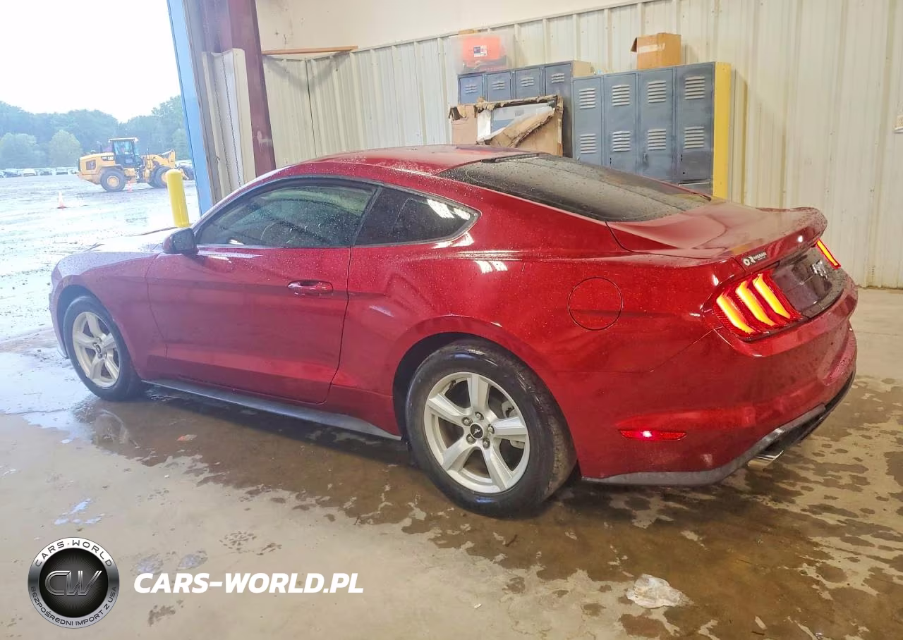 2018 Ford Mustang VIN:1FA6P8TH9J5181101 - 2