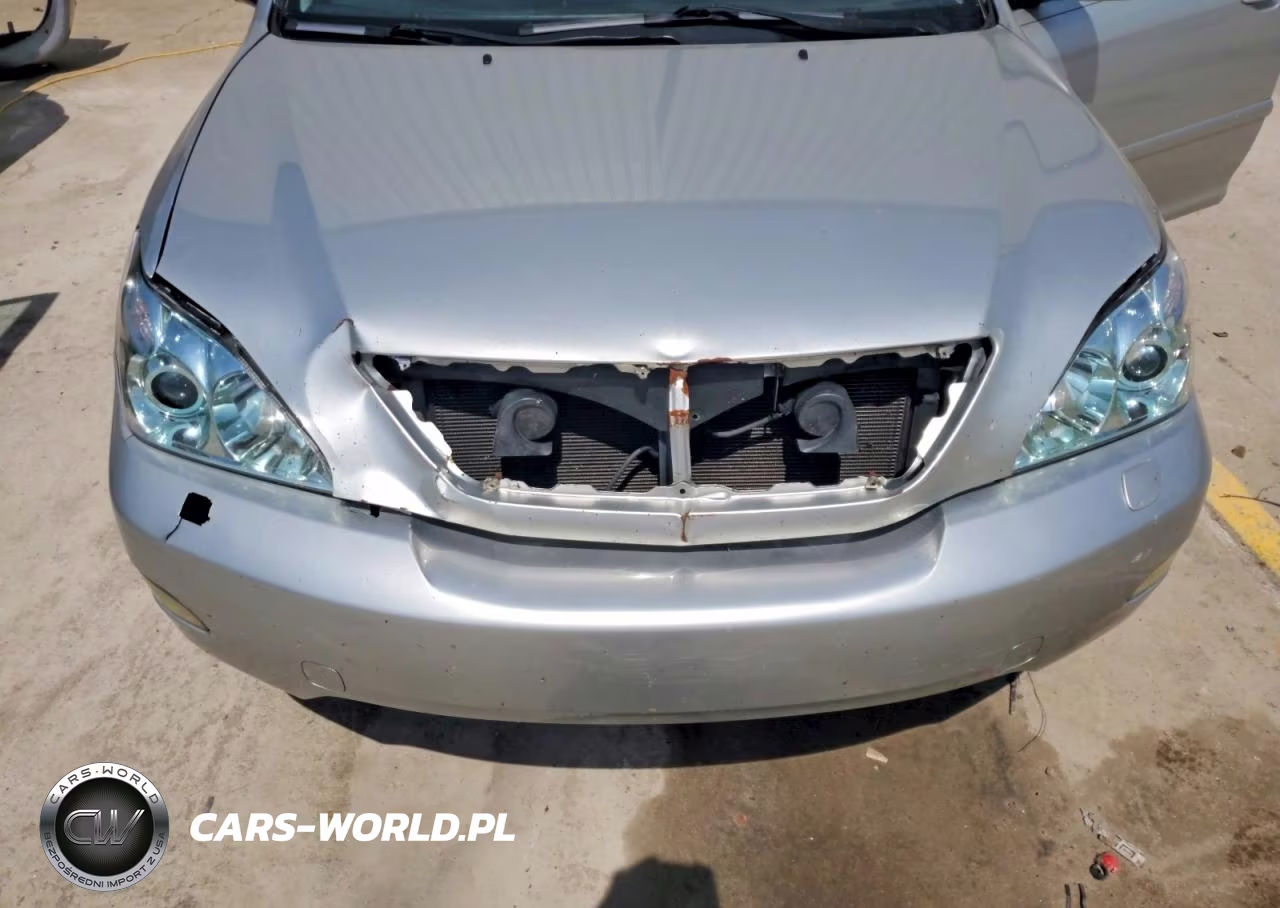 2004 Lexus Rx 330 VIN:2T2HA31U44C003770 - 12