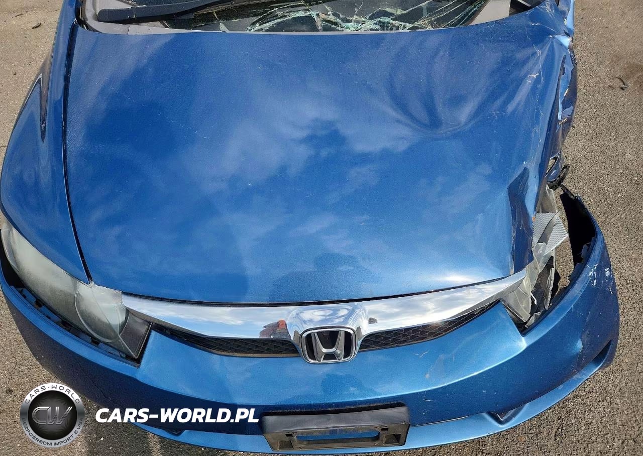 2010 Honda Civic Lx VIN:2HGFA1F52AH316742 - 11