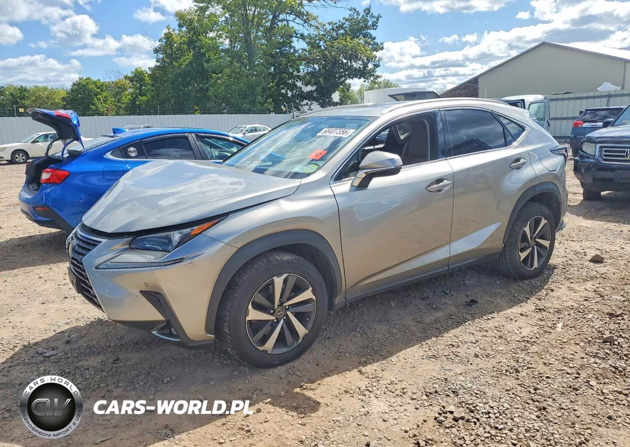 2021 Lexus Nx 300 Base VIN:JTJGARDZ8M5031902 - 1