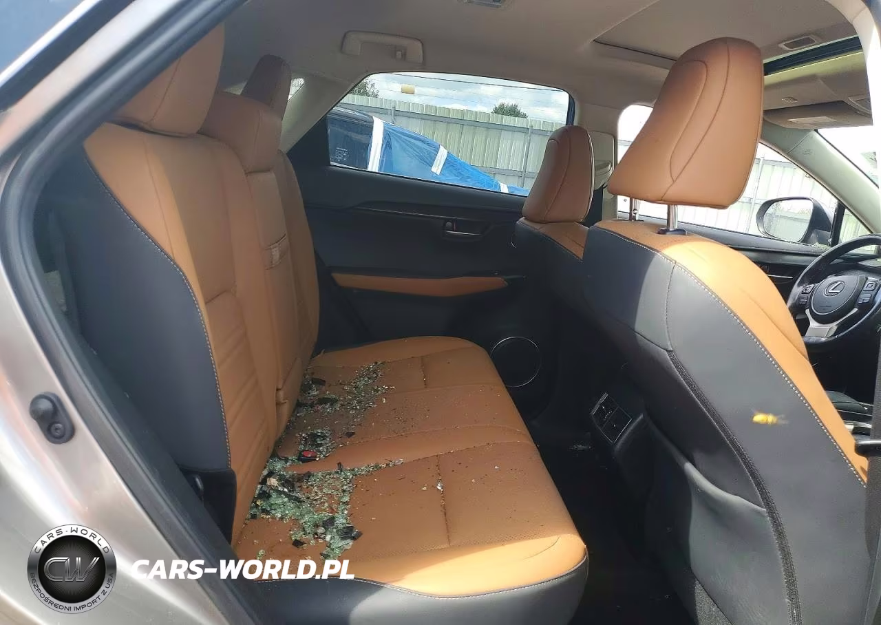 2021 Lexus Nx 300 Base VIN:JTJGARDZ8M5031902 - 11