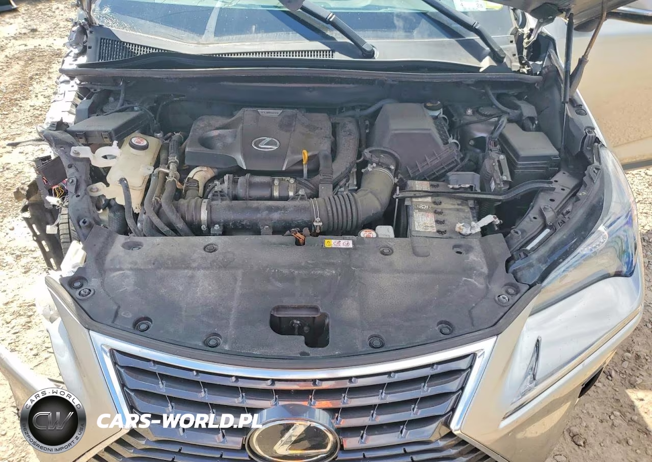 2021 Lexus Nx 300 Base VIN:JTJGARDZ8M5031902 - 12