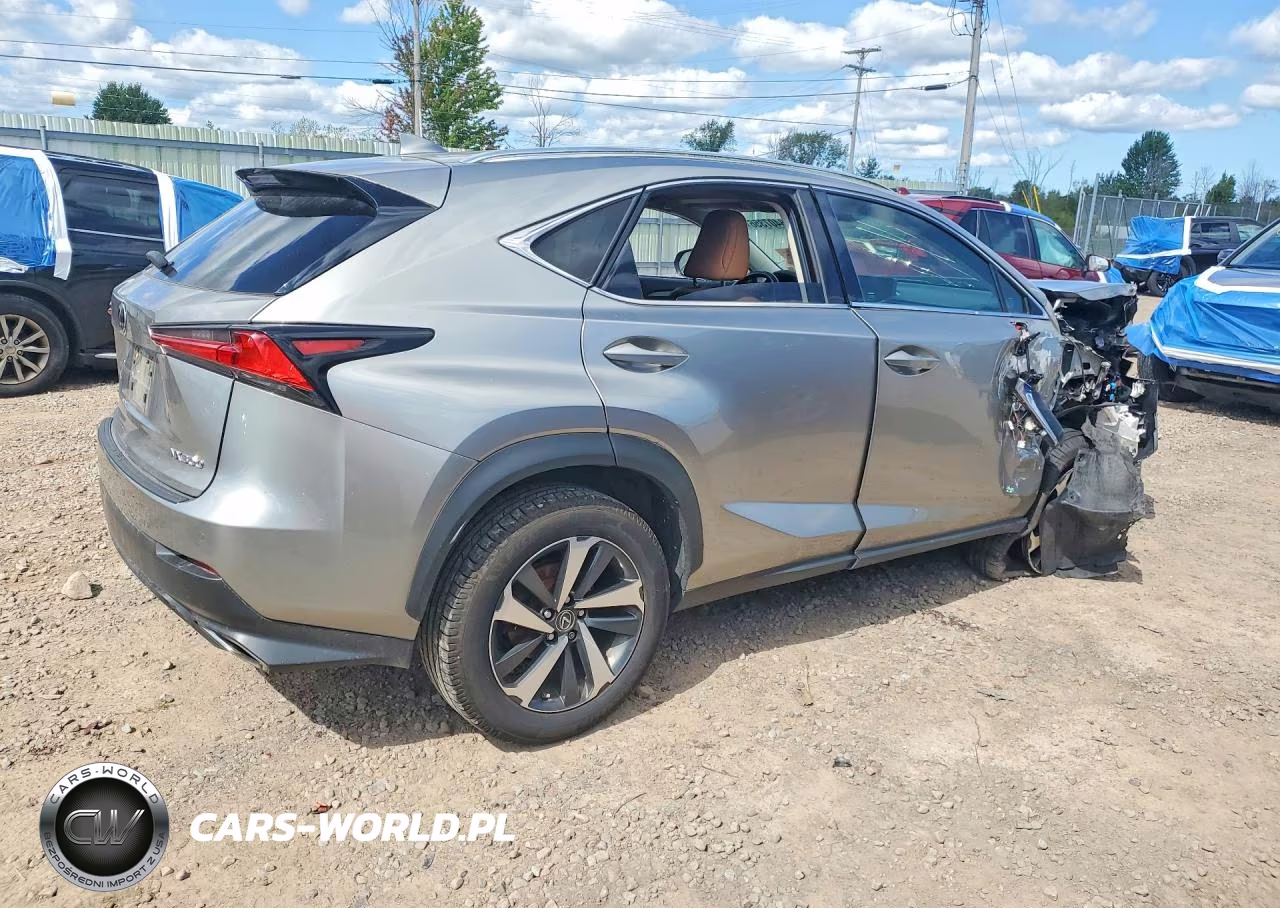 2021 Lexus Nx 300 Base VIN:JTJGARDZ8M5031902 - 3