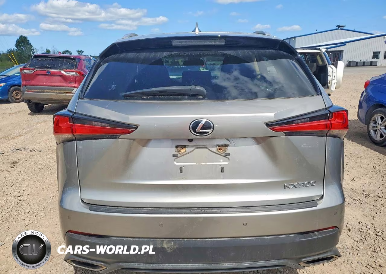 2021 Lexus Nx 300 Base VIN:JTJGARDZ8M5031902 - 6