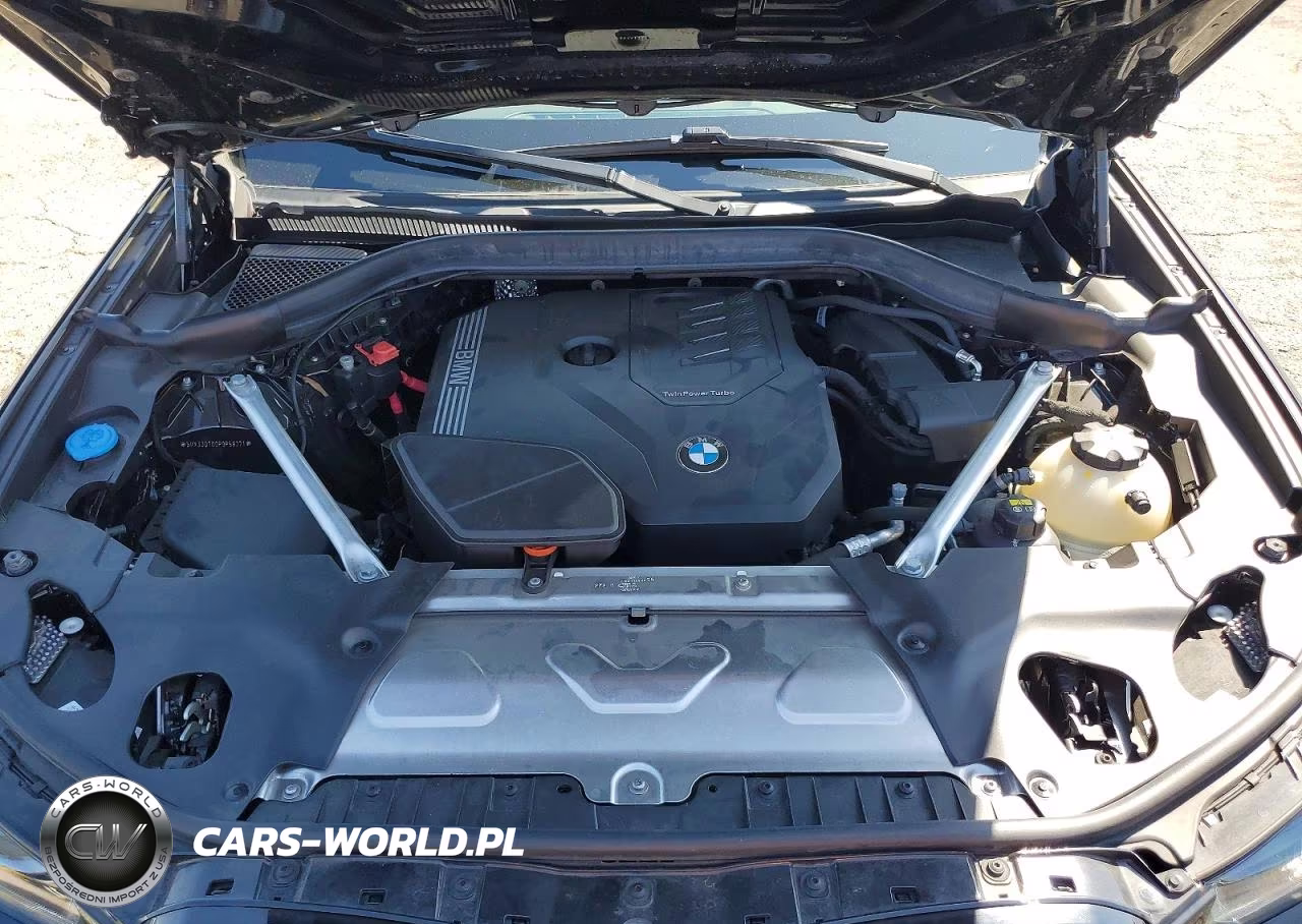 2023 BMW X4 xDrive30I VIN:5UX33DT00P9P58271 - 12