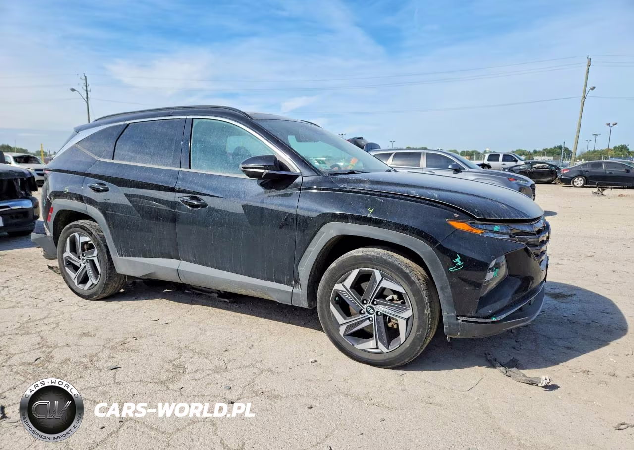 2022 Hyundai Tucson Limited VIN:KM8JECA11NU033261 - 4