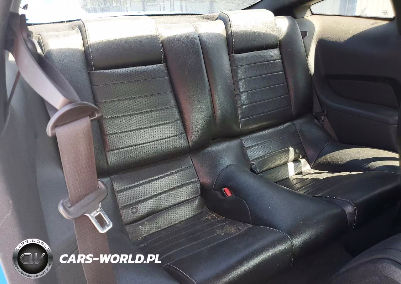 2010 Ford Mustang VIN:1ZVBP8AN6A5160060 - 10