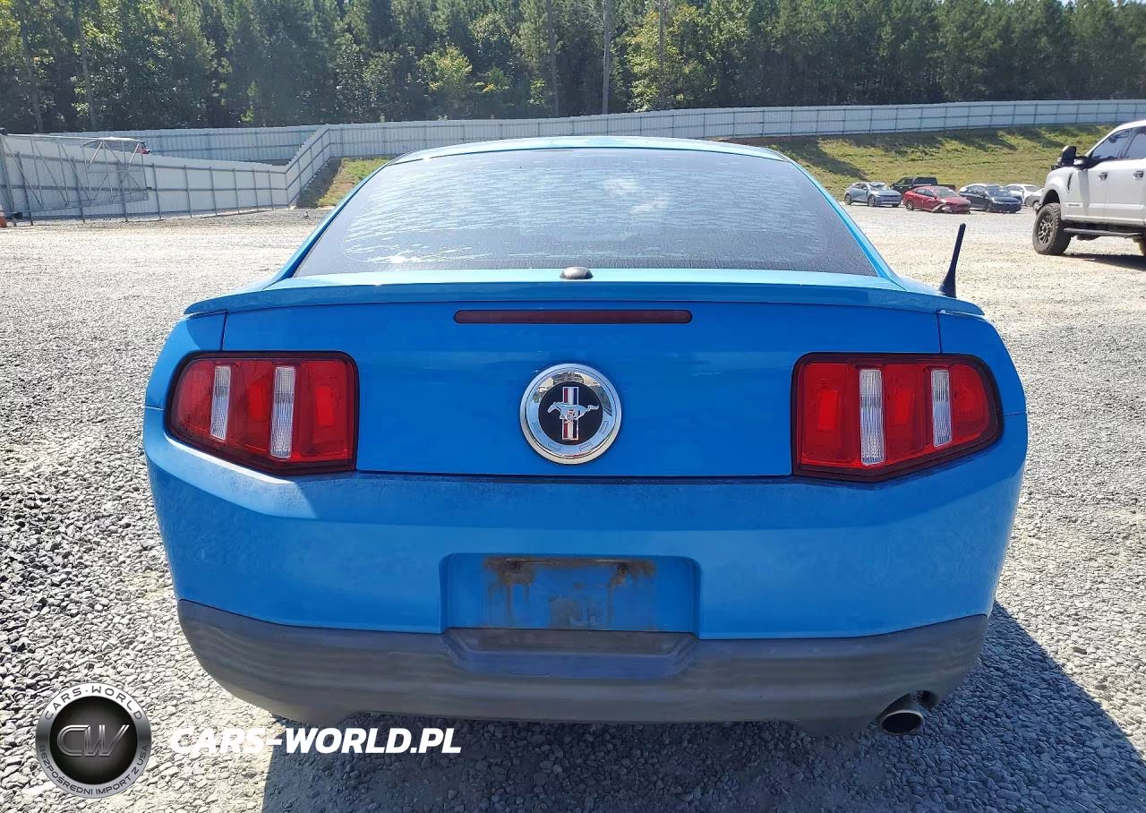 2010 Ford Mustang VIN:1ZVBP8AN6A5160060 - 6