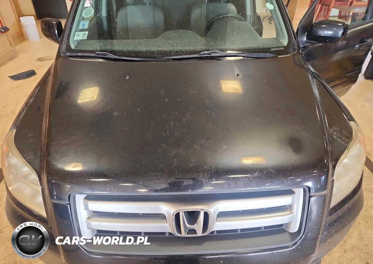2007 Honda Pilot Ex VIN:2HKYF18427H523256 - 12