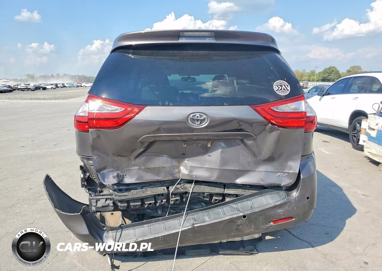 2017 Toyota Sienna Xle Premium 8-Passenger VIN:5TDYZ3DC3HS796234 - 6