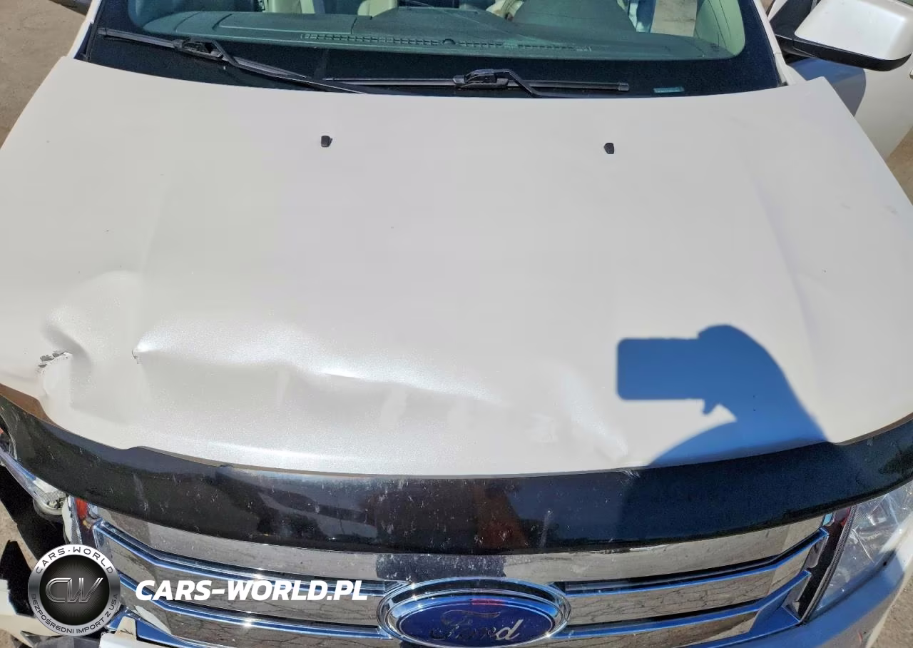 2010 Ford Edge Sel VIN:2FMDK3JC0ABB45055 - 11