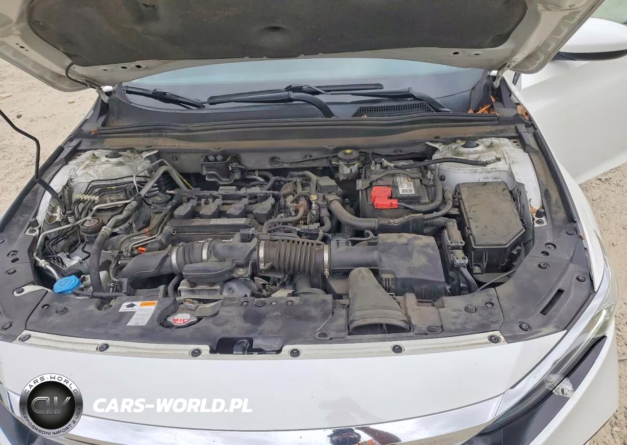 2019 Honda Accord Lx VIN:1HGCV1F10KA039075 - 11