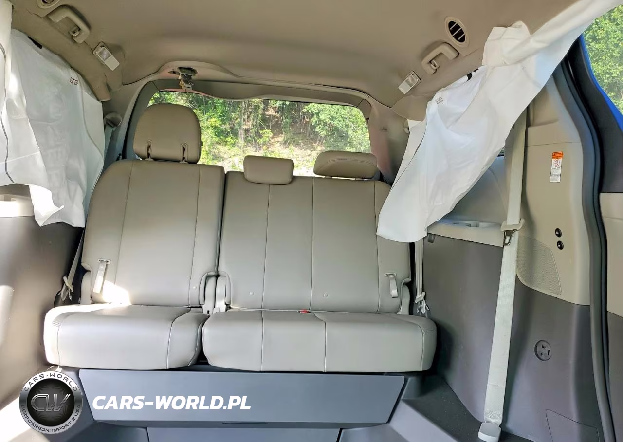 2019 Toyota Sienna Xle 8-Passenger VIN:5TDYZ3DC6KS011759 - 10