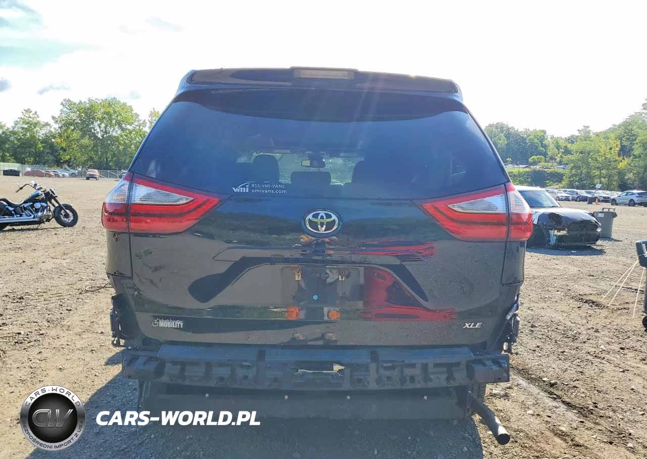 2019 Toyota Sienna Xle 8-Passenger VIN:5TDYZ3DC6KS011759 - 6