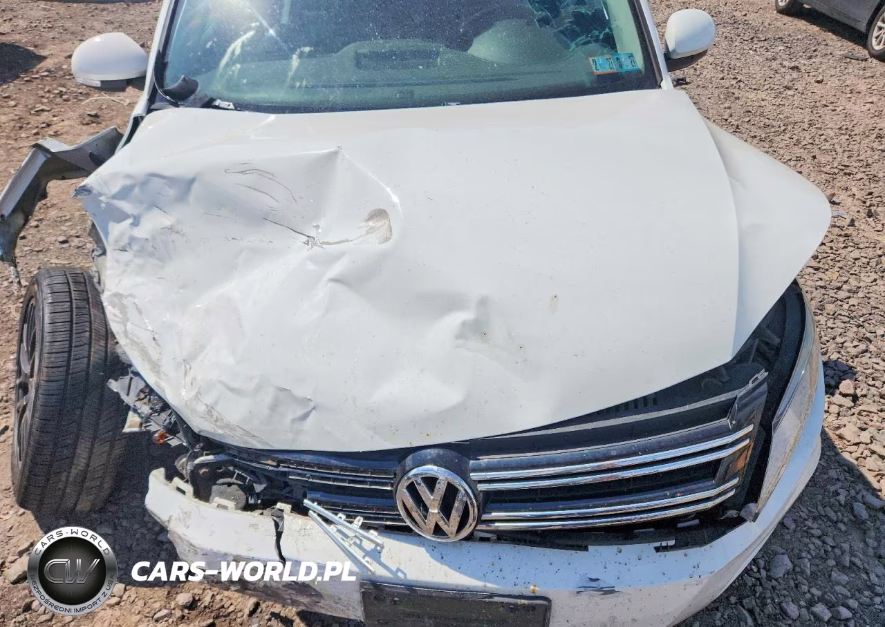 2016 Volkswagen Tiguan S VIN:WVGAV7AX4GW529142 - 11