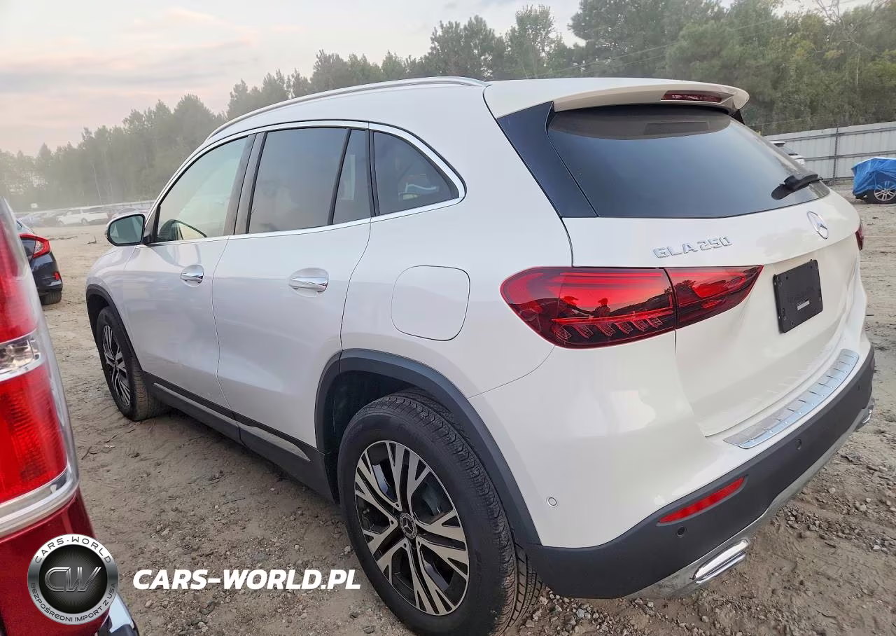 2025 Mercedes-Benz Gla 250 VIN:W1N4N4GB4SJ660193 - 2