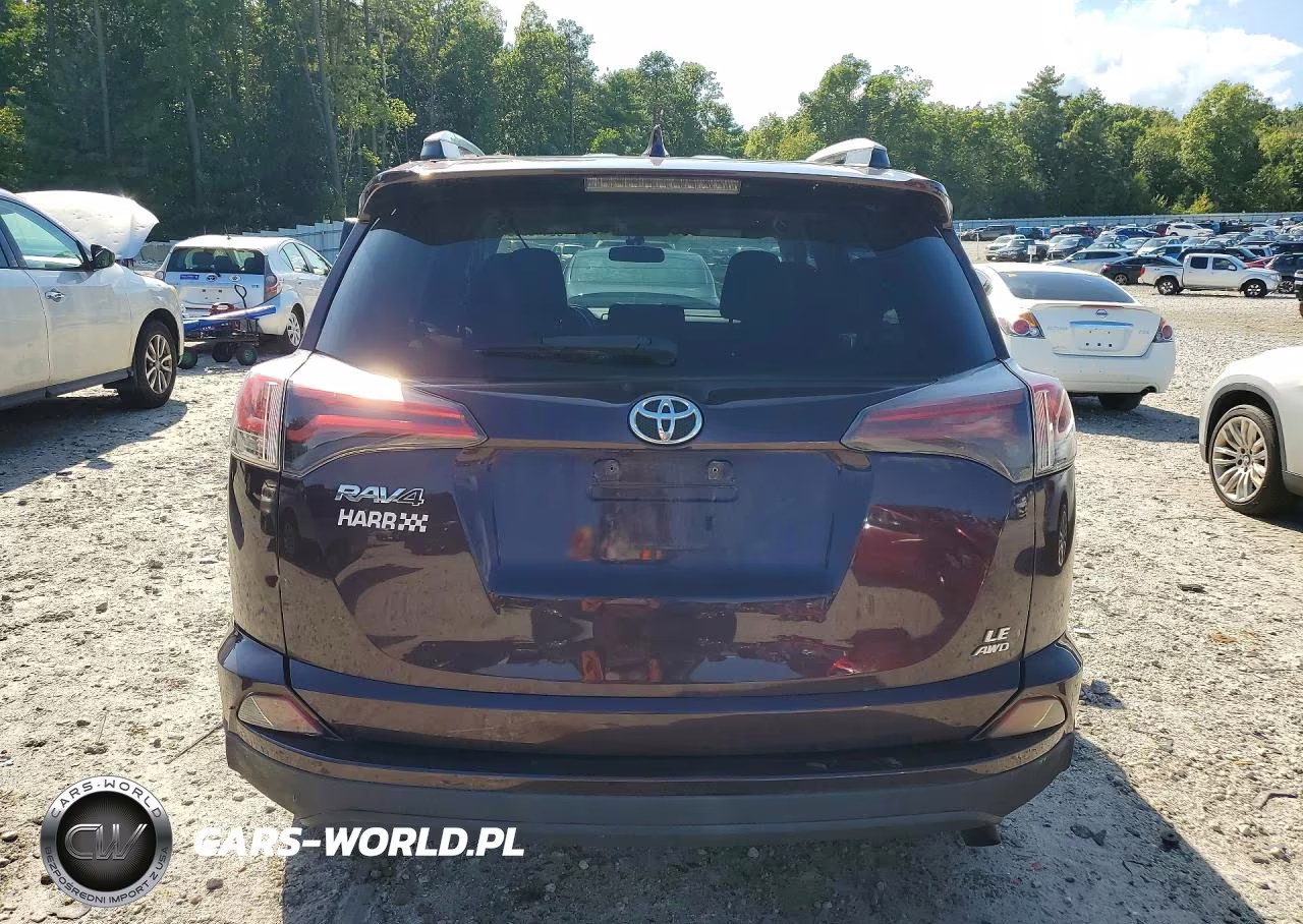 2016 Toyota Rav4 Le VIN:2T3BFREV3GW442745 - 6
