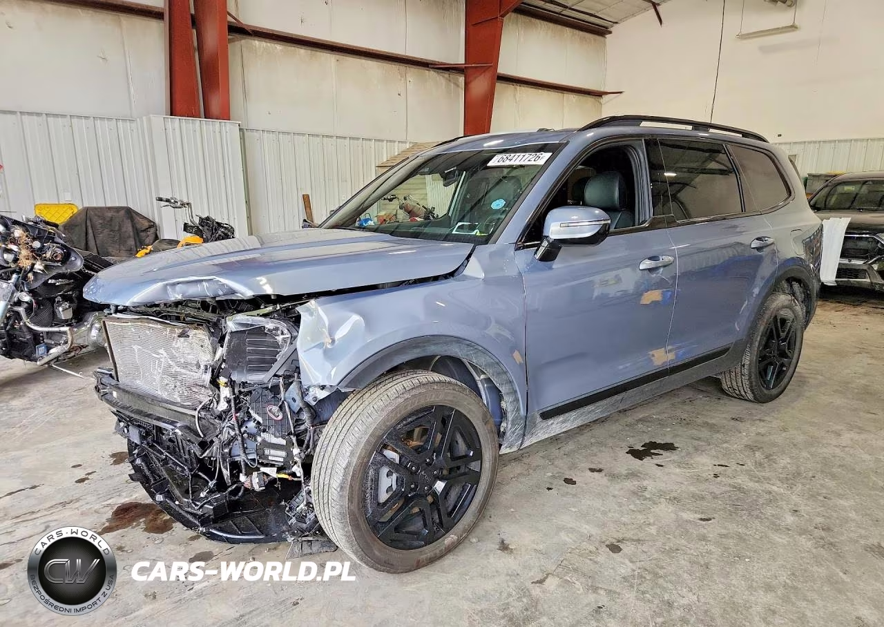 2025 Kia Telluride Sx X-Line VIN:5XYP5DGC8SG568789 - 1