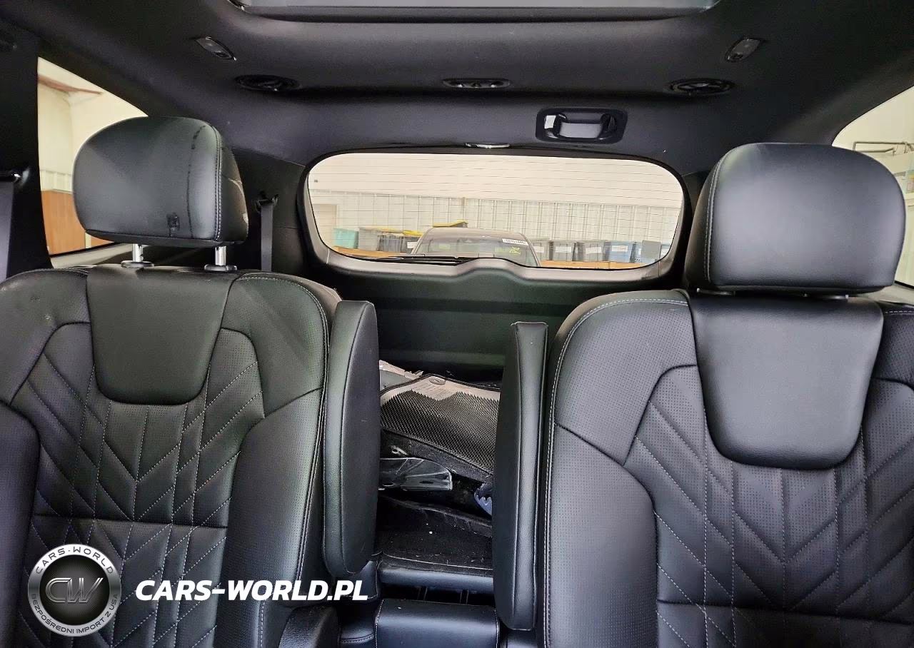 2025 Kia Telluride Sx X-Line VIN:5XYP5DGC8SG568789 - 10
