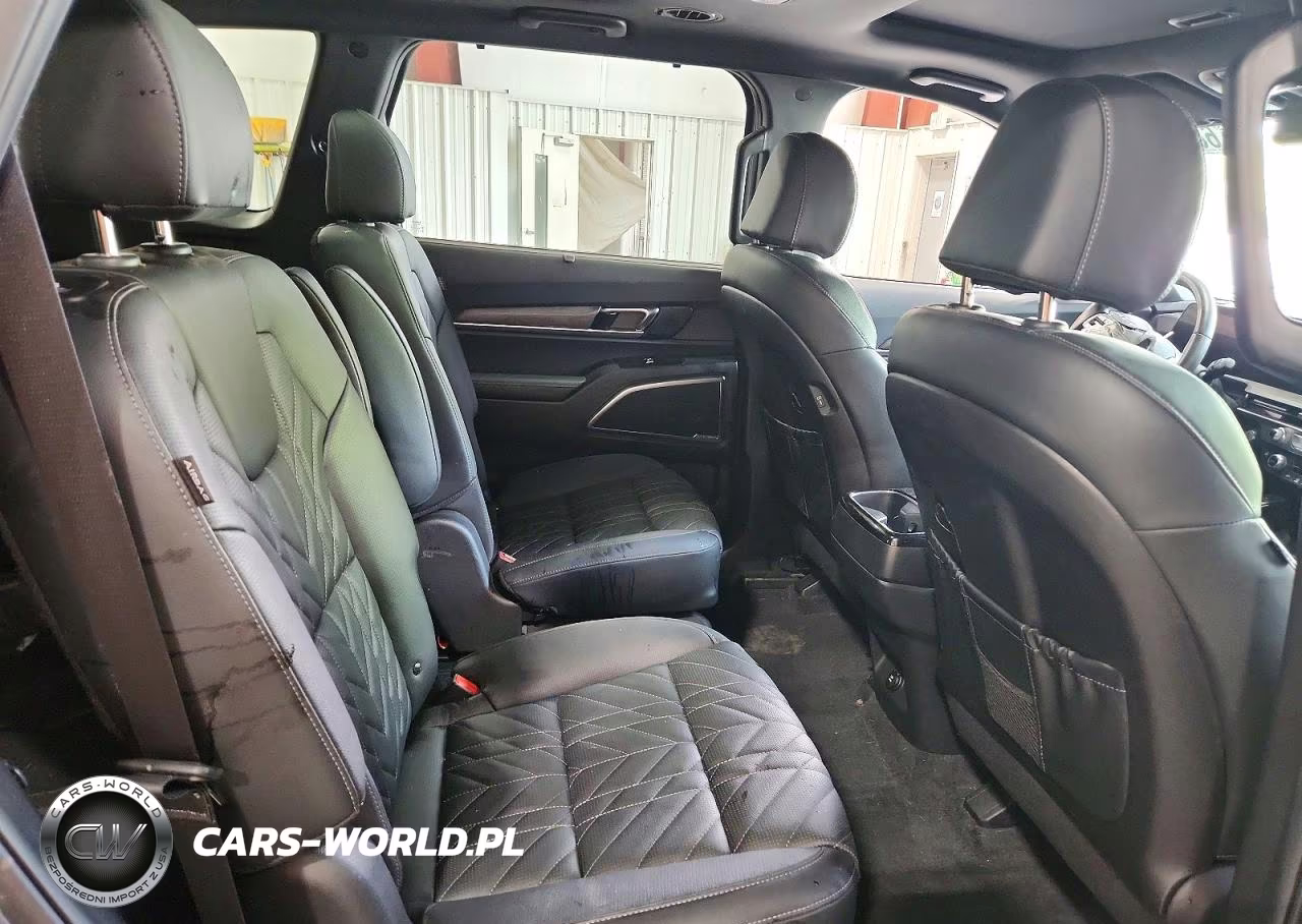 2025 Kia Telluride Sx X-Line VIN:5XYP5DGC8SG568789 - 11