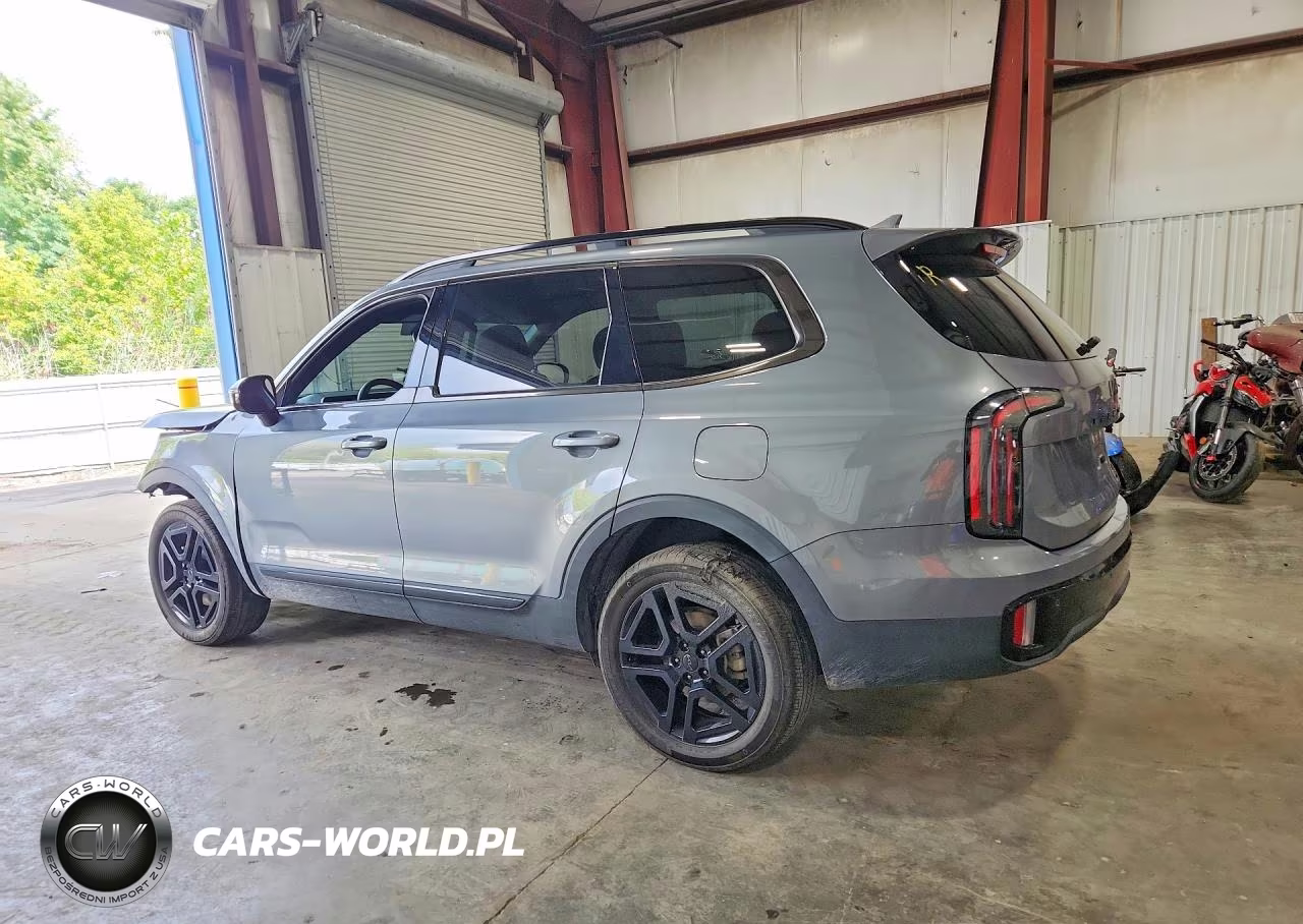 2025 Kia Telluride Sx X-Line VIN:5XYP5DGC8SG568789 - 2