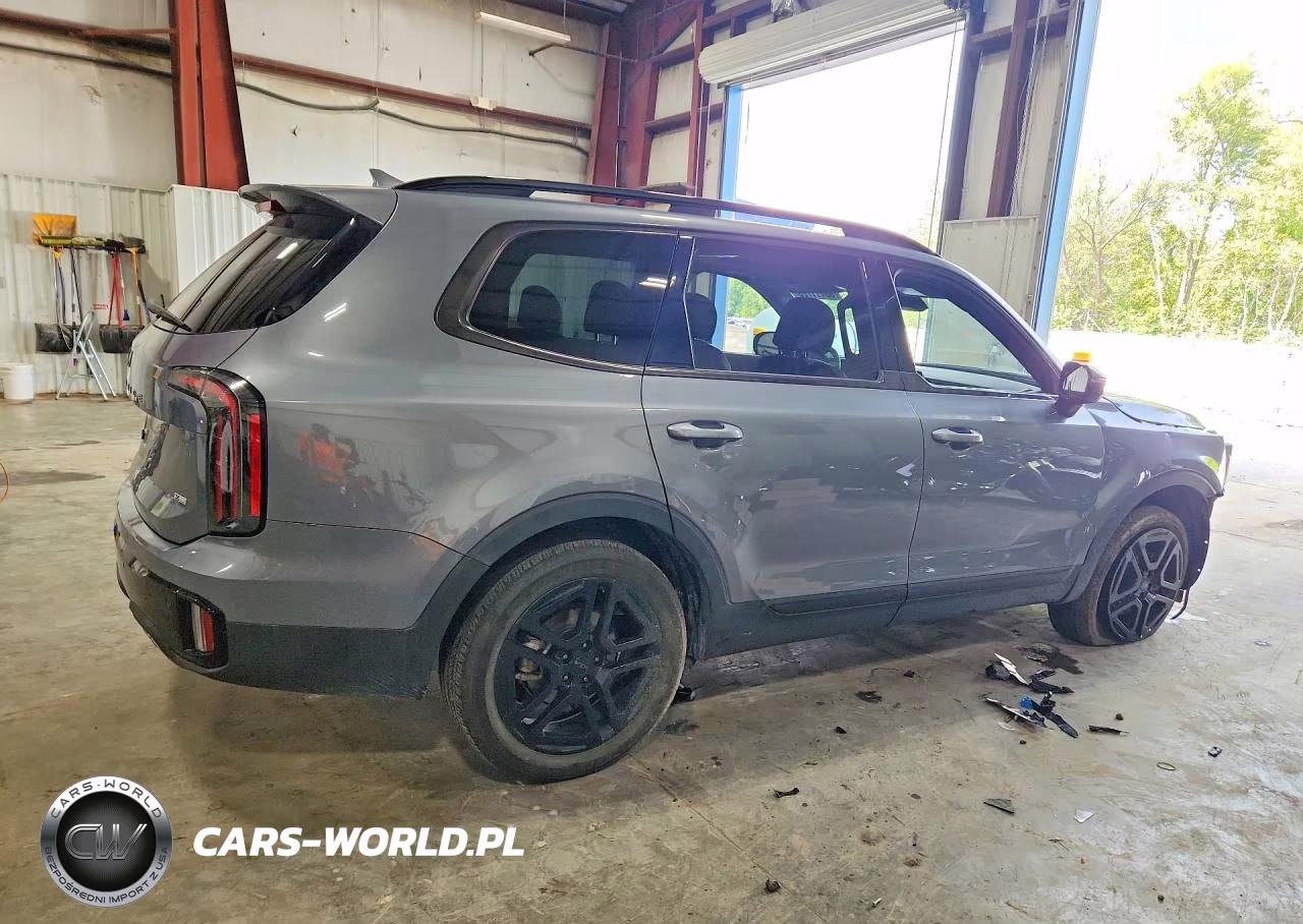 2025 Kia Telluride Sx X-Line VIN:5XYP5DGC8SG568789 - 3