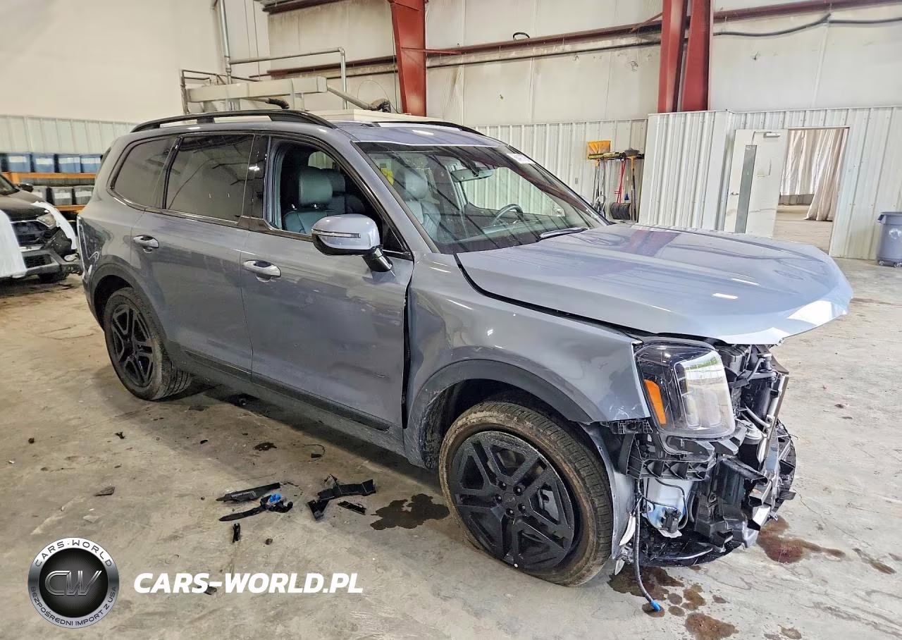 2025 Kia Telluride Sx X-Line VIN:5XYP5DGC8SG568789 - 4