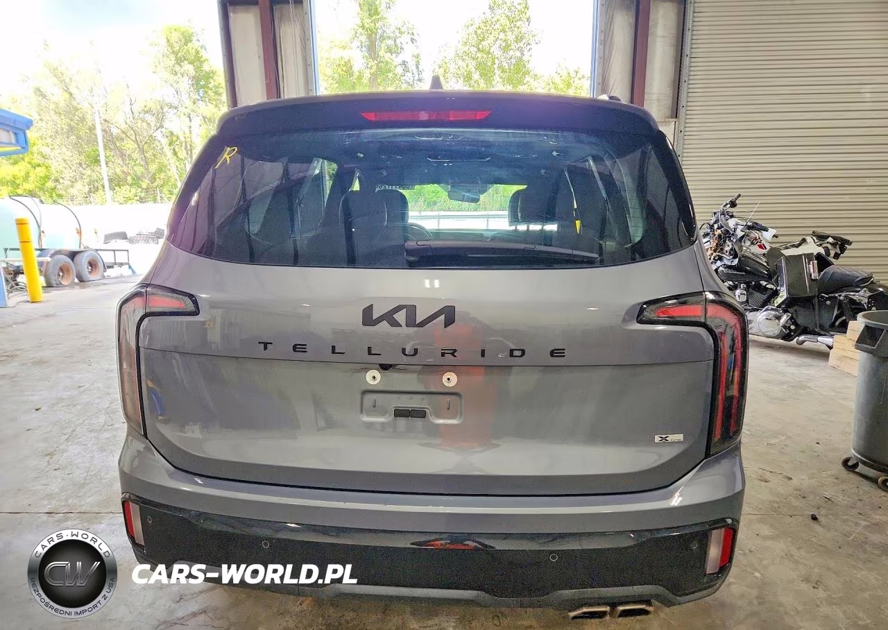 2025 Kia Telluride Sx X-Line VIN:5XYP5DGC8SG568789 - 6