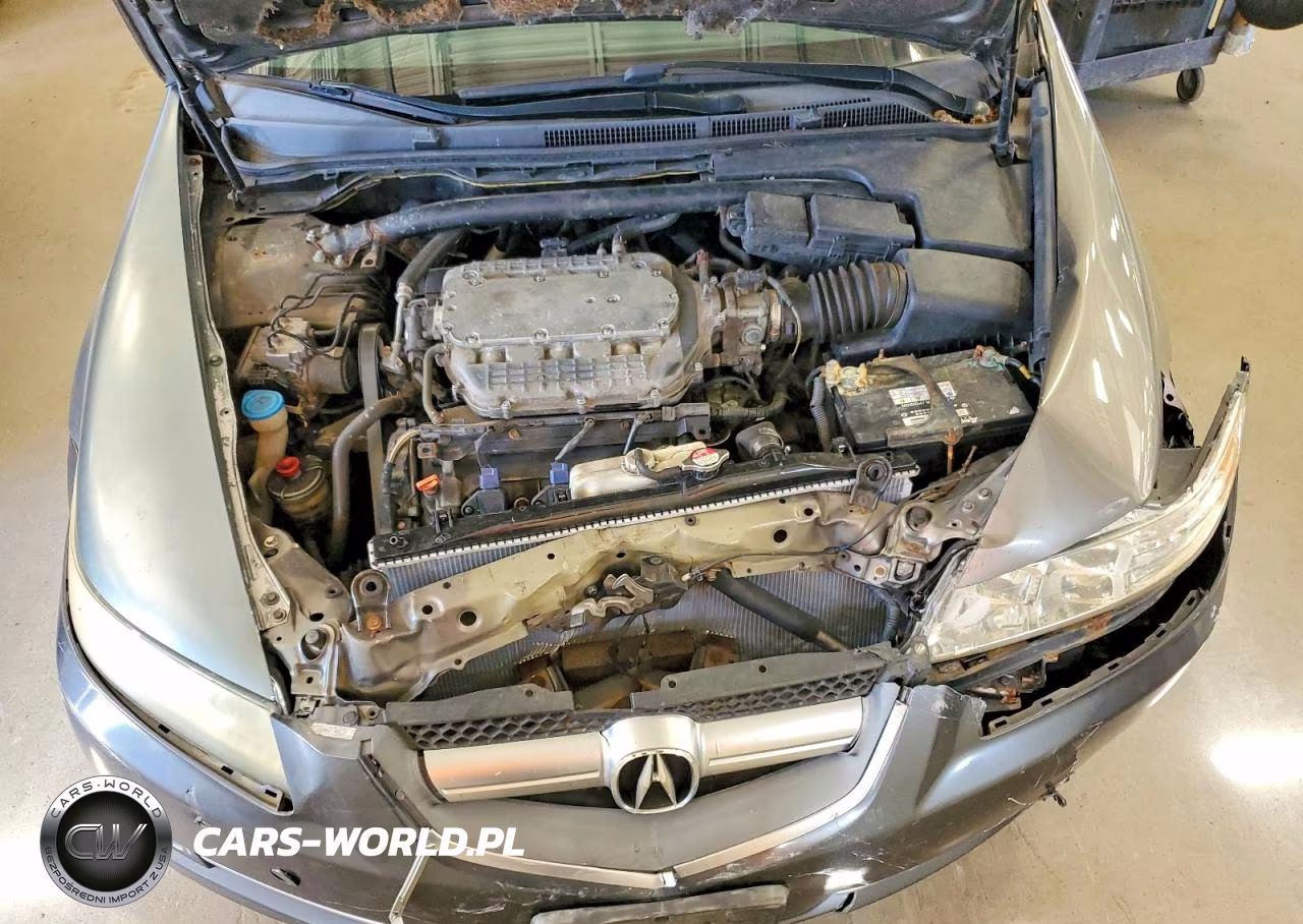 2007 Acura Tl VIN:19UUA66277A022982 - 11