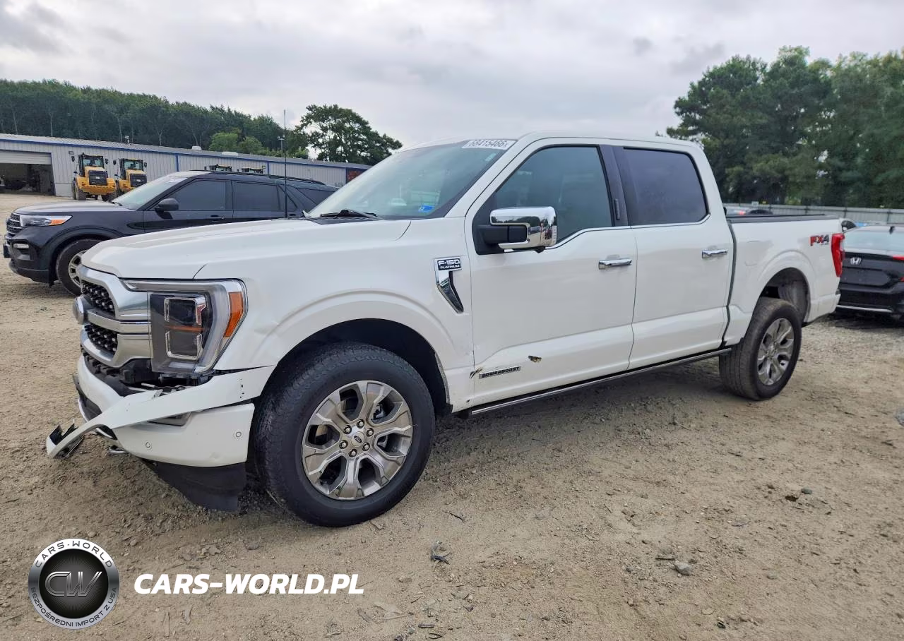 2023 Ford F150 Supercrew VIN:1FTFW1EDXPFD27412 - 1