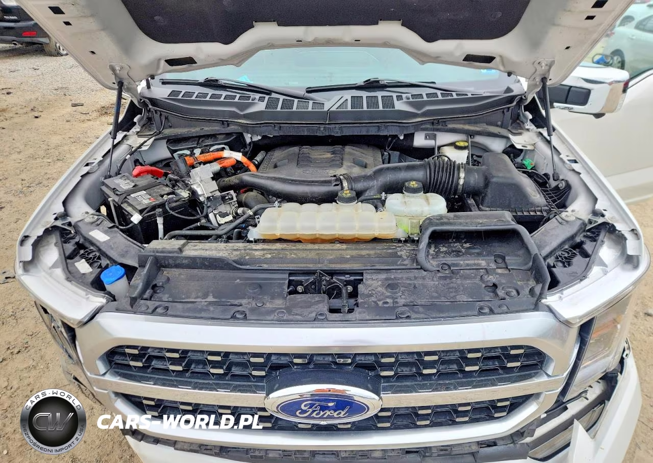 2023 Ford F150 Supercrew VIN:1FTFW1EDXPFD27412 - 11