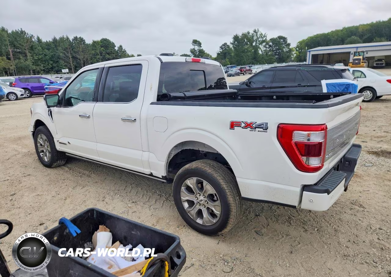 2023 Ford F150 Supercrew VIN:1FTFW1EDXPFD27412 - 2