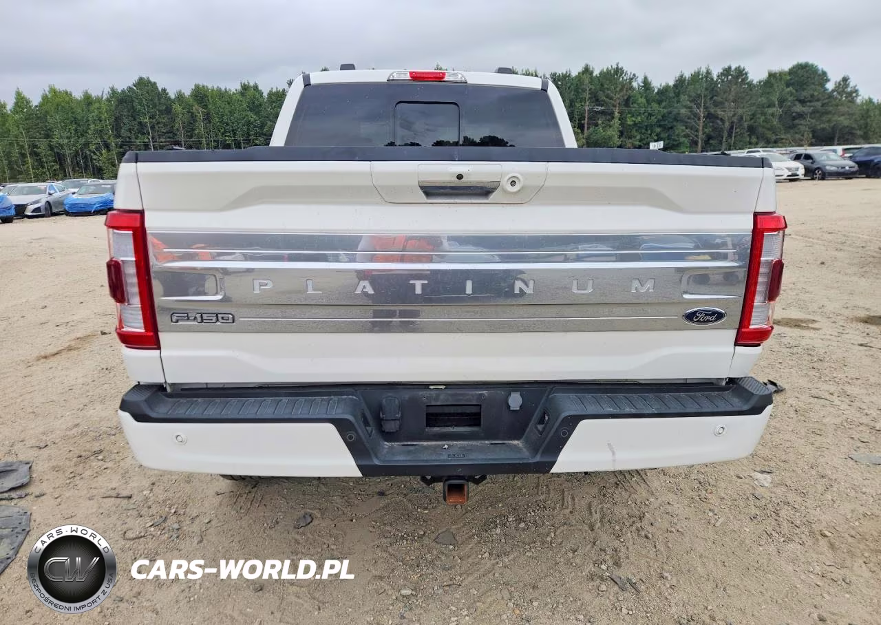 2023 Ford F150 Supercrew VIN:1FTFW1EDXPFD27412 - 6