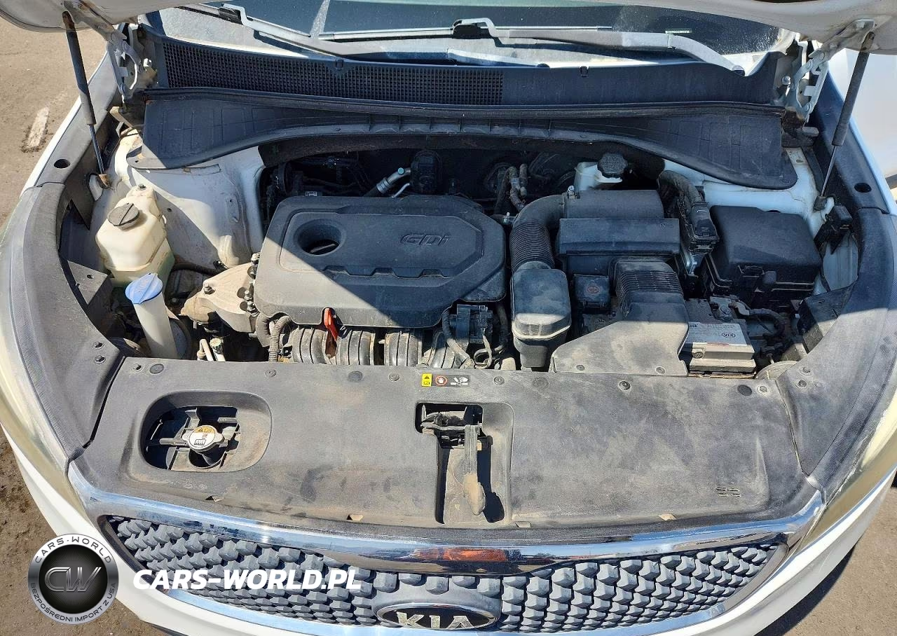 2016 Kia Sorento Lx VIN:5XYPG4A31GG010728 - 12