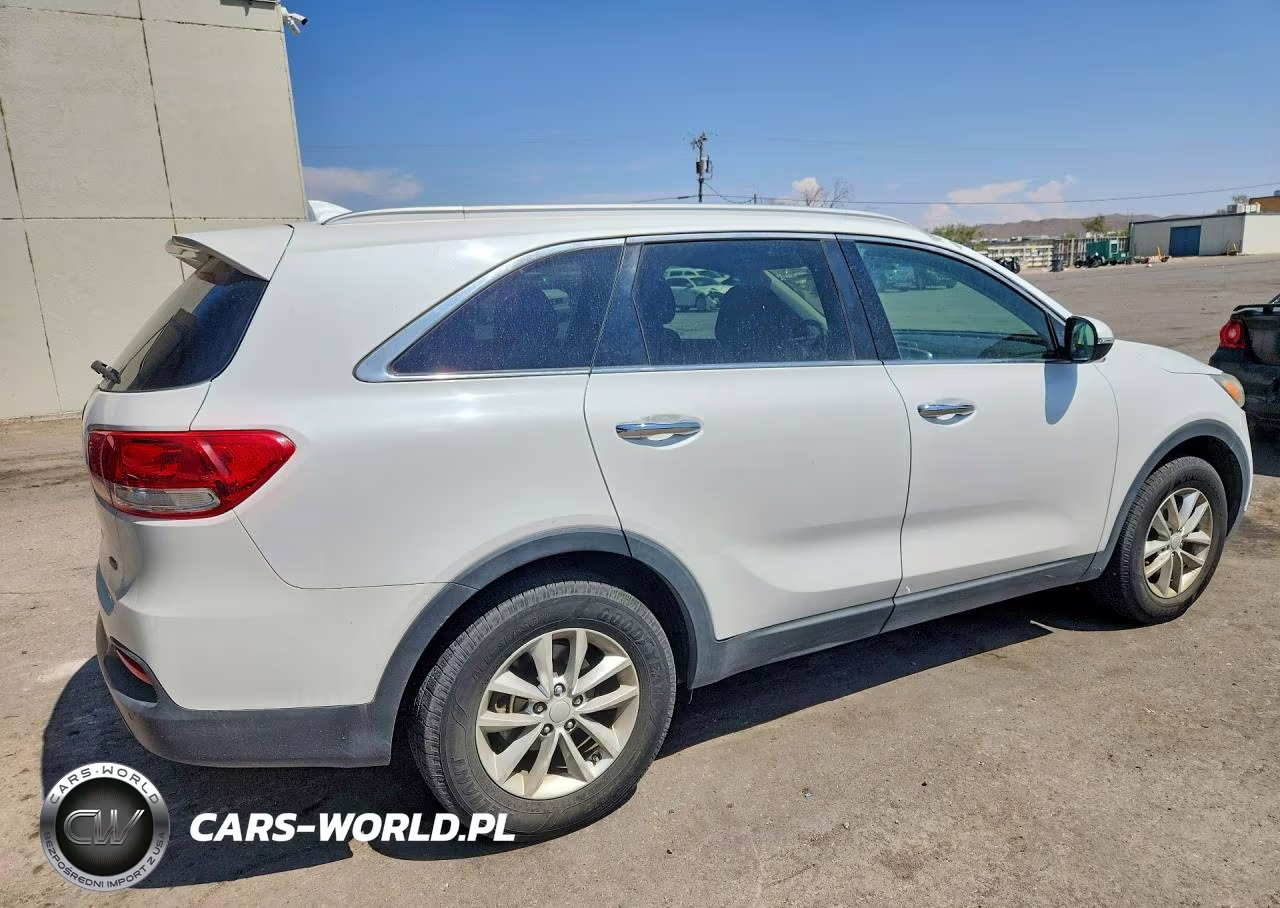 2016 Kia Sorento Lx VIN:5XYPG4A31GG010728 - 3