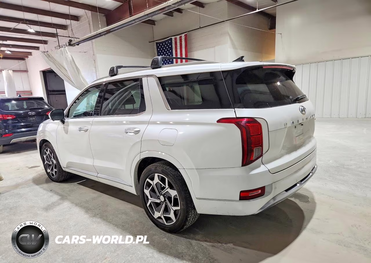 2021 Hyundai Palisade Calligraphy VIN:KM8R7DHE8MU233922 - 2