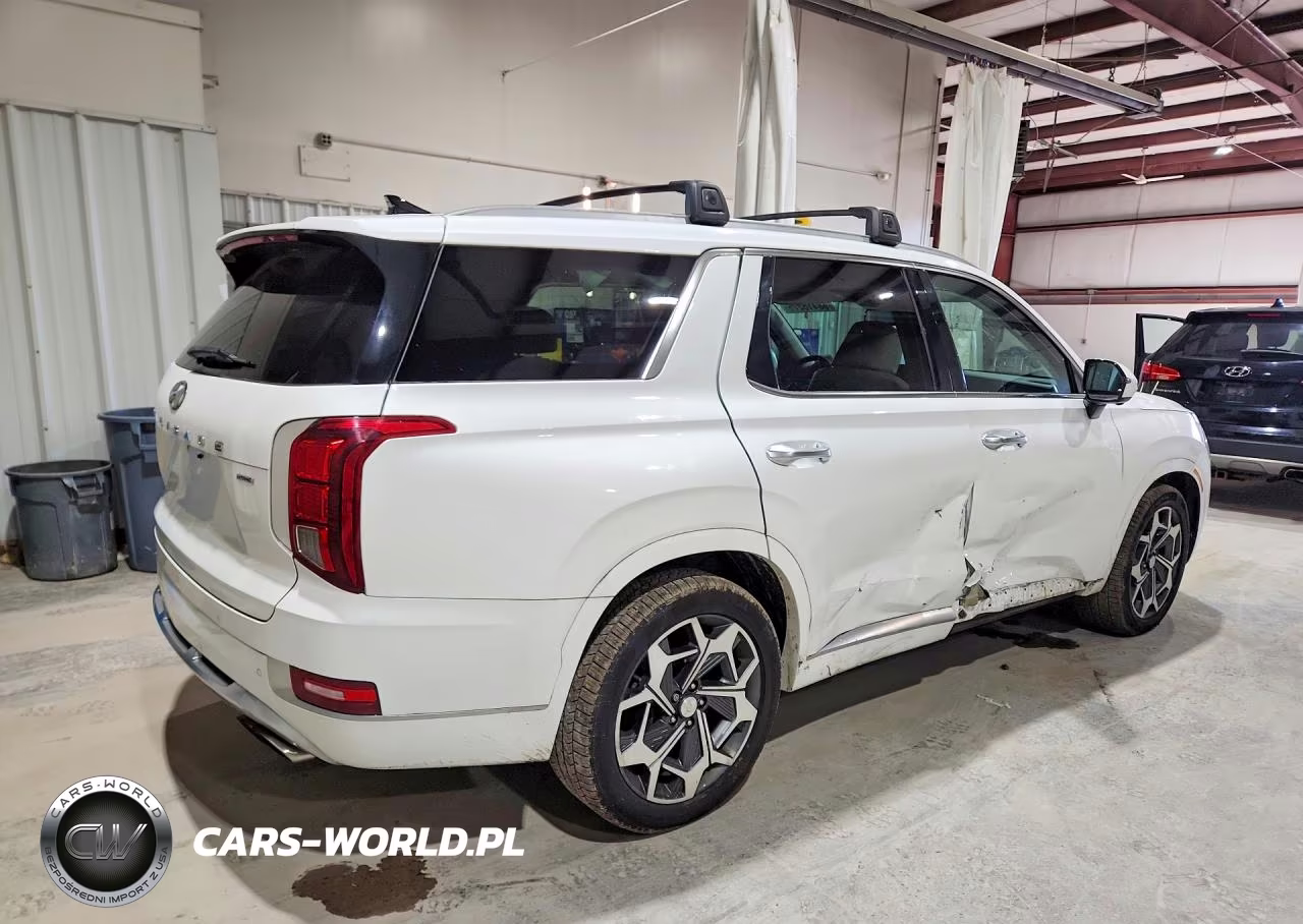 2021 Hyundai Palisade Calligraphy VIN:KM8R7DHE8MU233922 - 3