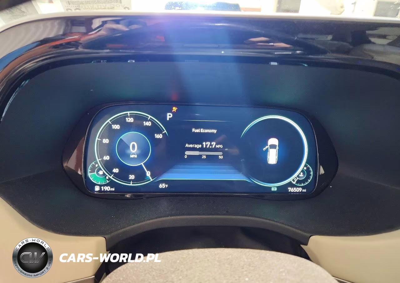 2021 Hyundai Palisade Calligraphy VIN:KM8R7DHE8MU233922 - 9